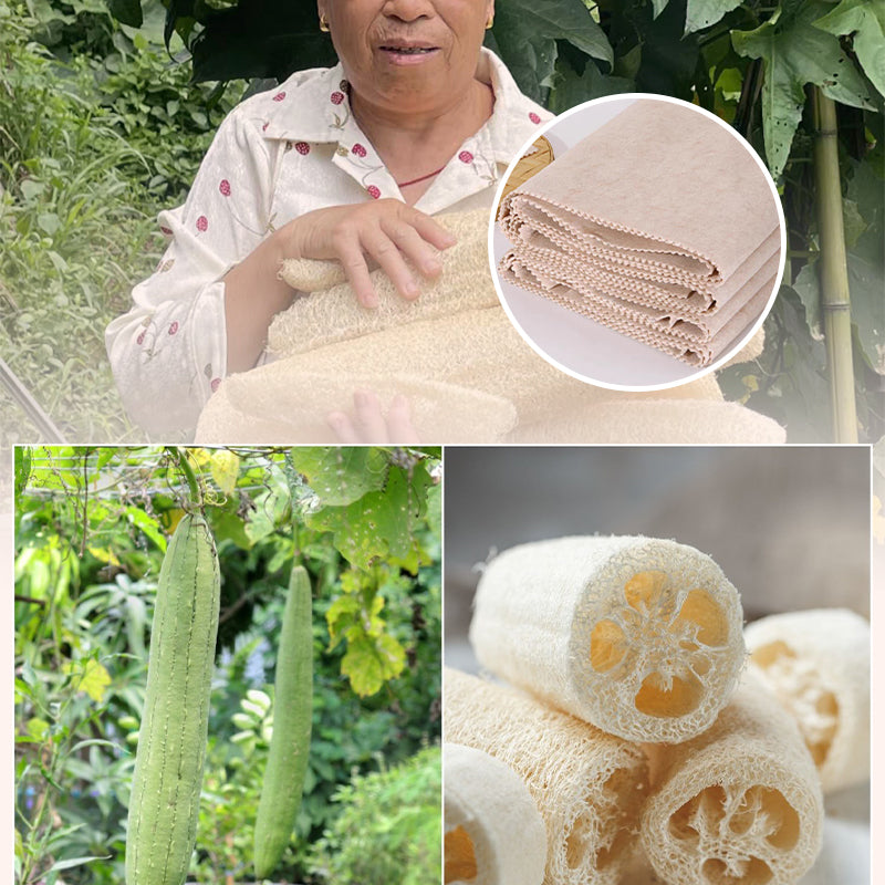 🏠🚿Kitchen Magic Tool: Thickened Loofah Dishwashing Cloth, Zero Oil Residue!（50% OFF）🏠🚿