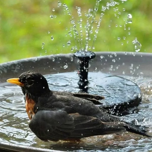 ⏳Time-limited Special⌛Solar Powered Fountain