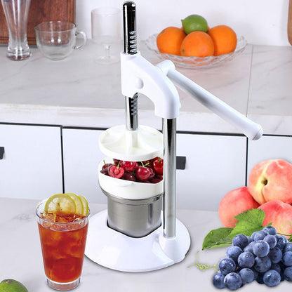 🔥Home Juice Extractor✨Upgrade Stainless Steel Manual Juicer