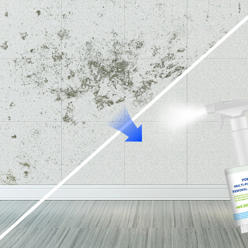 🔥2025 HOT SALE🔥 Powerful Multi-purpose Mold Removal Cleaner Spray