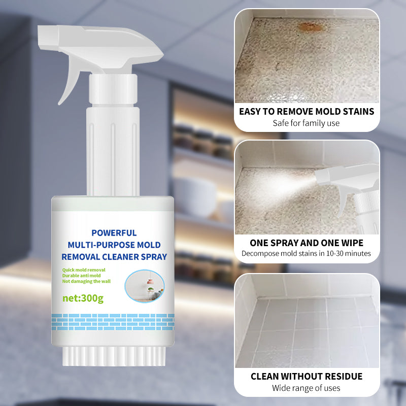 🔥2025 HOT SALE🔥 Powerful Multi-purpose Mold Removal Cleaner Spray