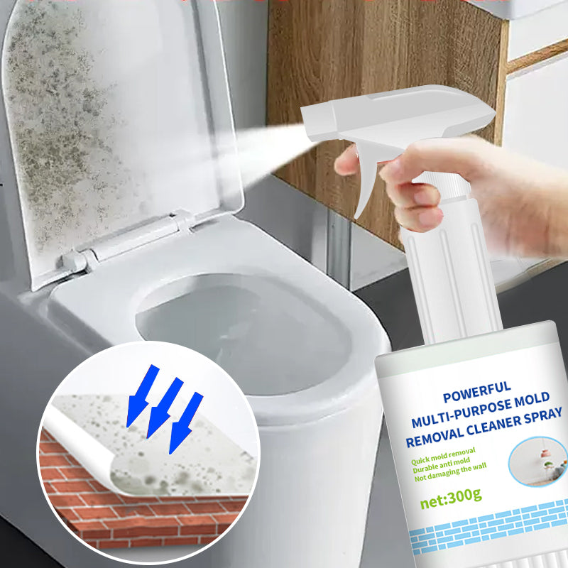 🔥2025 HOT SALE🔥 Powerful Multi-purpose Mold Removal Cleaner Spray